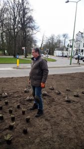 Kleurig en bloeiend Zeist 4 plant1